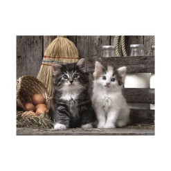 Online 39340 Puzzle 1000 Hqc Lovely Kittens 70 X 50 Cm Puzzle 1000 Pezzi