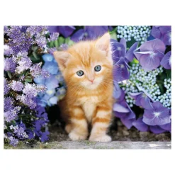 New Puzzle High Quality Collection Ginger Cat 500 Pezzi, Puzzle Adulti Puzzle 500 Pezzi