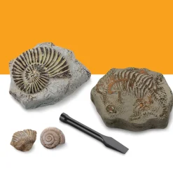 Best Kit Paleontologo Con 2 Mini Fossili Giochi Stem
