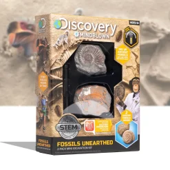 Best Kit Paleontologo Con 2 Mini Fossili Giochi Stem