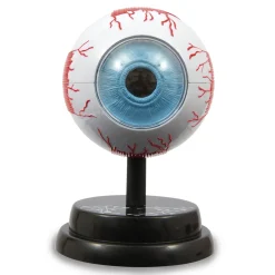 Clearance Occhio Modello Anatomico In 3D Giochi Scientifici