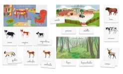 Sale Montessori Gli Animali E I Loro Cuccioli Primi Apprendimenti